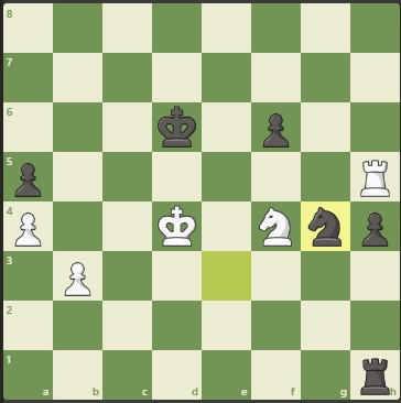 positioning catur di endgame